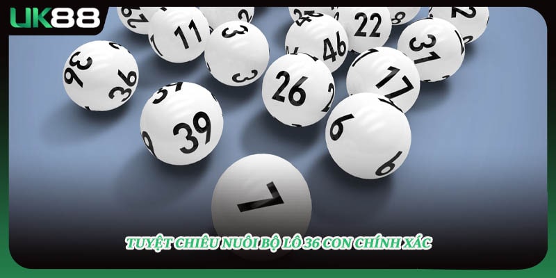 Tuyệt chiêu nuôi bộ lô 36 con chính xác